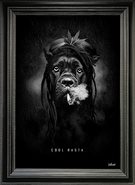 Tableau-Cool-Rasta