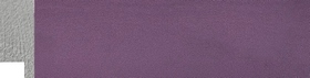 Holi 25&nbsp;Prune