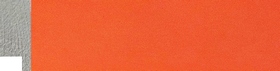 Holi 25&nbsp;Orange