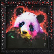 murciano-panda-pop