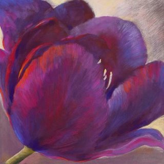 1NW778-Purple-Queen-FLEURS--Nel-Whatmore