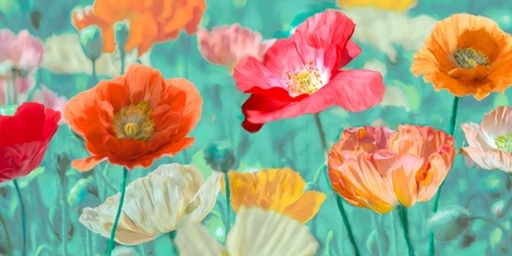 2AN4674-Cynthia-Ann-Poppies-in-Bloom-FLEURS-