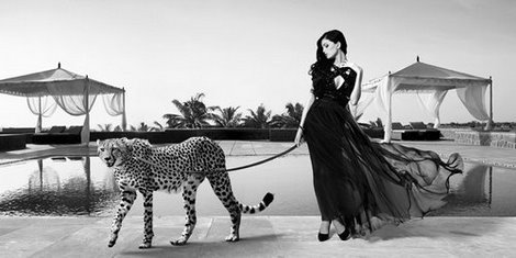 2AP3659-Woman-with-Cheetah-VINTAGE-ANIMAUX-Julian-Lauren