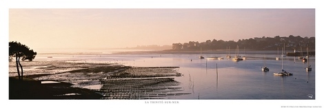 La-Trinite-sur-Mer---Le-Port-Philip-Plisson-MARIN