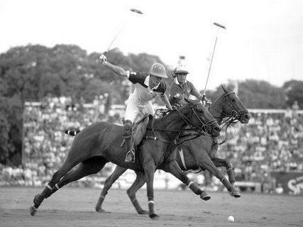 3AP3259-Polo-players-Argentina-VINTAGE-ANIMAUX-Anonymous-