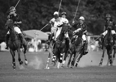 3AP3304-Polo-players-New-York-VINTAGE-ANIMAUX-Anonymous-
