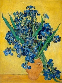 3VG1434-Irises--PEINTRE-FLEURS-Vincent-van-Gogh