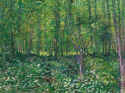 3VG2674-Trees-and-undergrowth-PEINTRE-PAYSAGE-Vincent-van-Gogh