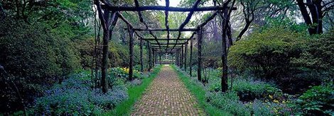 4RB2238-Garden-path-Old-Westbury-Gardens-Long-Island-PAYSAGE--Richard-Berenholtz