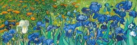 Image 4VG5862 Vincent van Gogh Irises (detail)