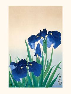 Image Ohara Koson Fleurs d`Iris 1925-1936 SE_Fleursd_Iris