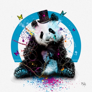 Image ig10015 Moki Panda chanteur