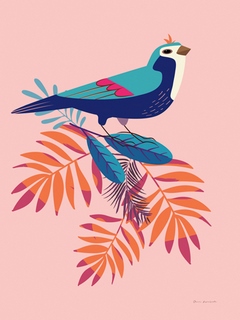 wa64631-Omar-Escalante-Exotic-Birds-III