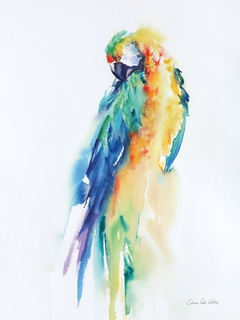 Image wa67965 Aimee del Valle Colorful Parrots II