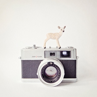 amad4484-Deer-amp;-Vintage-Camera-Susannah-Tucker-Photography-appareil-photo