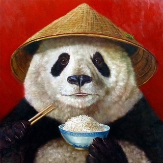 Image h1182d Panda HUMOUR ANIMAUX  Lucia Heffernan