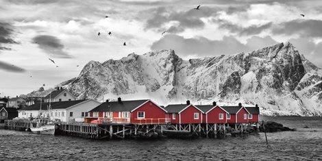 Image ig6107 Lofoten Nähe Reine mit roten Hütten MARIN PAYSAGE  Rolf Fischer