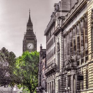 ig8030-London-Tree-PAYSAGE-URBAIN--Assaf-Frank