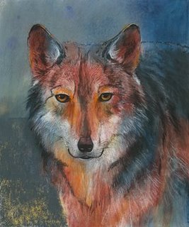 Image ig8780 Roter Wolf loup   Loes Botman