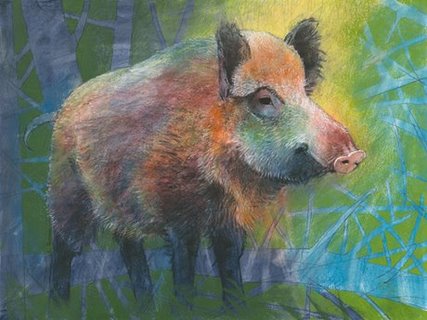 Image ig8831 Wildschwein sanglier   Loes Botman