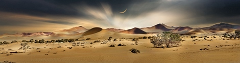 Image ig9126 Namib Sandsea II PAYSAGE  Peter Hillert