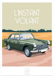 Image Instant Volant - Peugeot 404