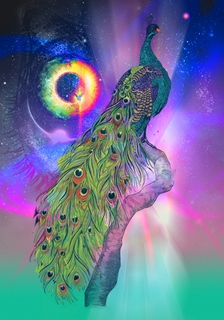Image r1271d Cosmic Peacock Karin Roberts 