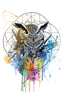 Image r1279d Owl Karin Roberts 