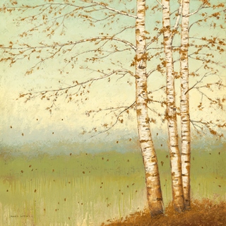 Image wa10342 Golden Birch II with Blue Sky PAYSAGE   James Wiens